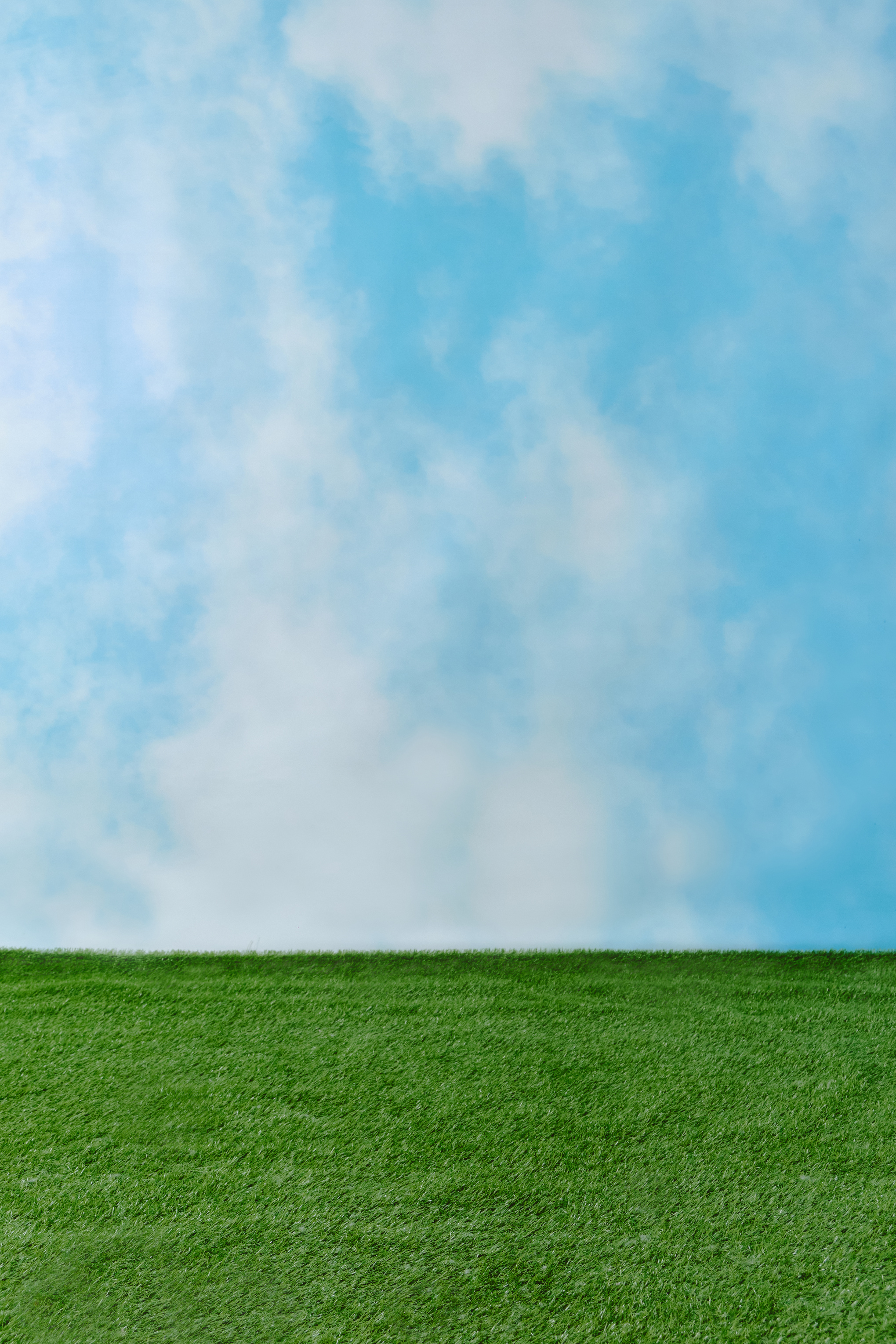 Grassy Field against the Sky Background